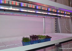 Agro-LED, which does the work for C-LED in the Benelux and beyond, presented a new product of Italian manufacture at the fair: the Futura lamp. A lamp that can be installed in a multi-layer set-up and controlled with one driver.